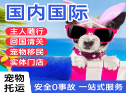 泉州晋江航空邮寄国际宠物托运 【国